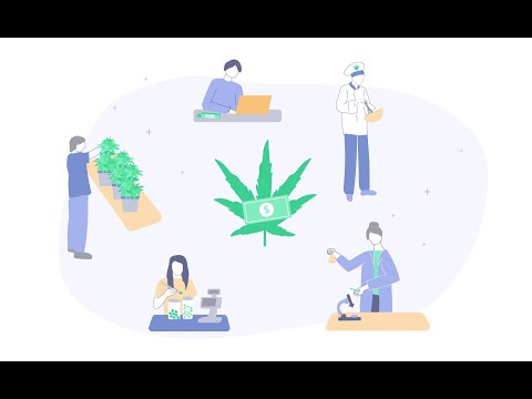 ¿Quieres trabajar en un dispensario de cannabis?