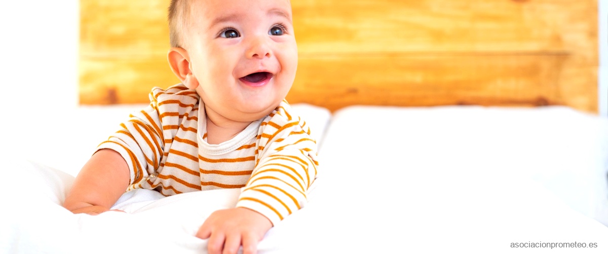 Aprende a criar bebés tranquilos y felices con esta guía práctica