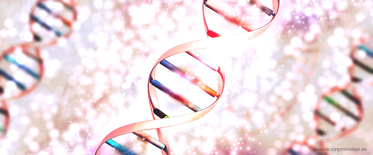¿Cuál es la mejor prueba de ADN?