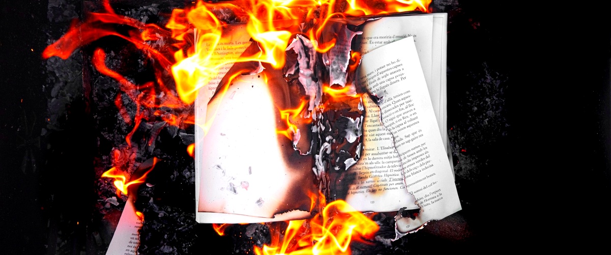 El despertar de la pasión: Fuego en libros del KO
