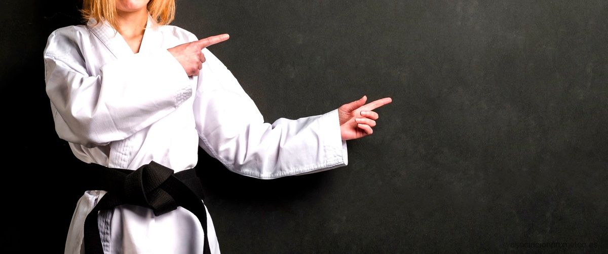 El Karate Mental Epub: una guía para alcanzar la fortaleza mental