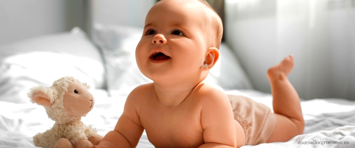 El secreto de tener bebés tranquilos y felices: Una guía práctica