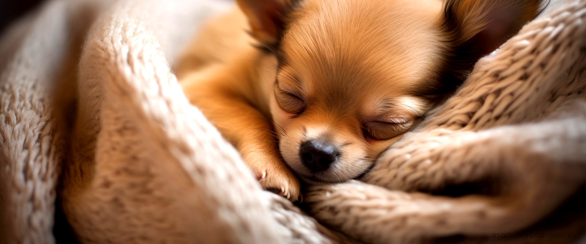Los mejores sitios para descargar "Perros que duermen" en formato epub